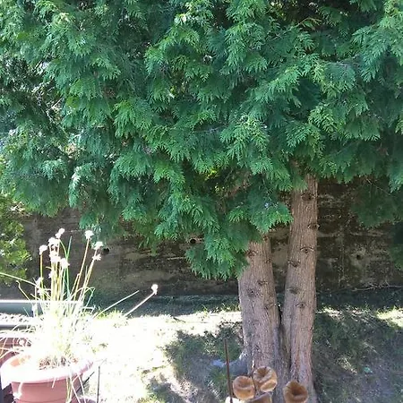 Appartamento Casa Vacanze Al Faro Brunate